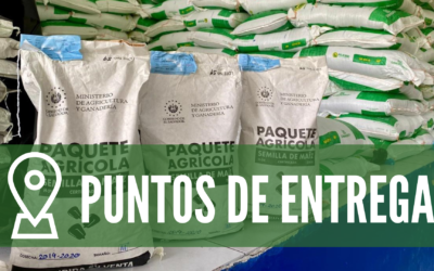 puntos de entrega