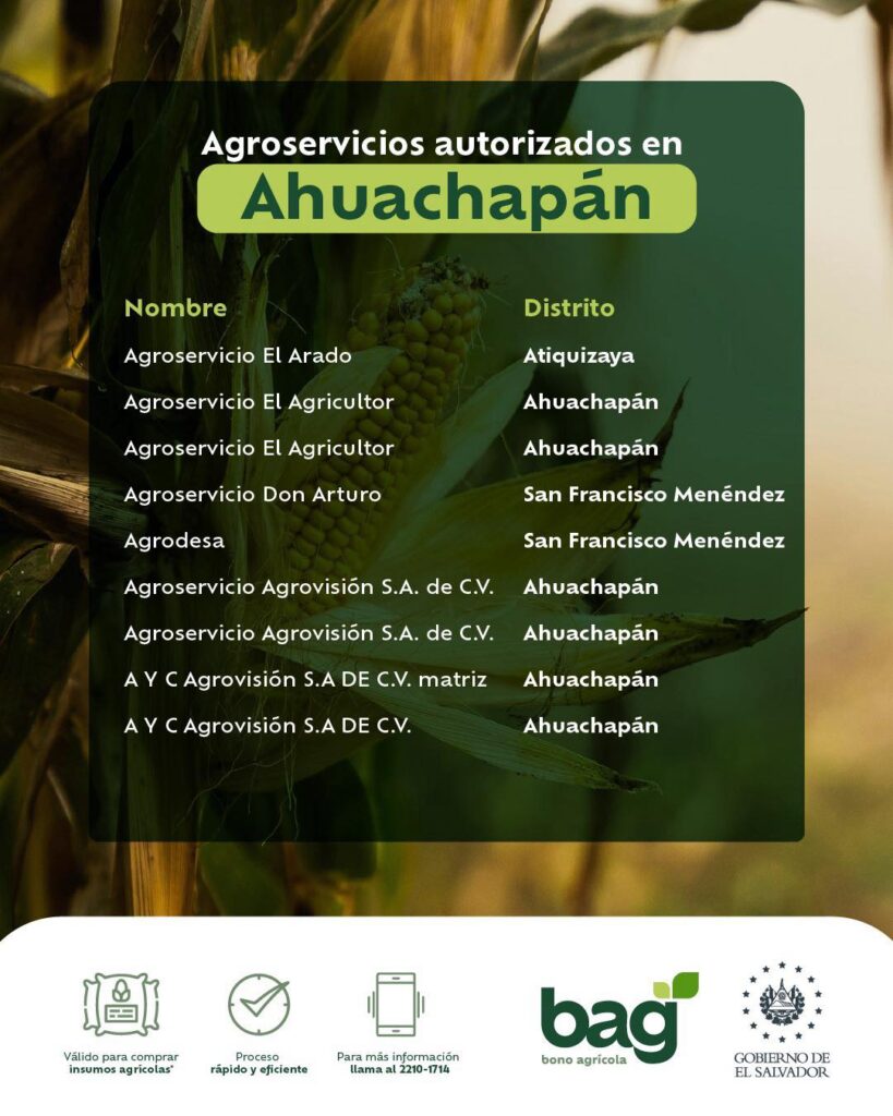 puntos agroservicio achuapan